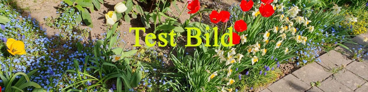 TestBild-1